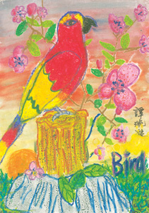 譚琬凝-(9歲)-Parrot