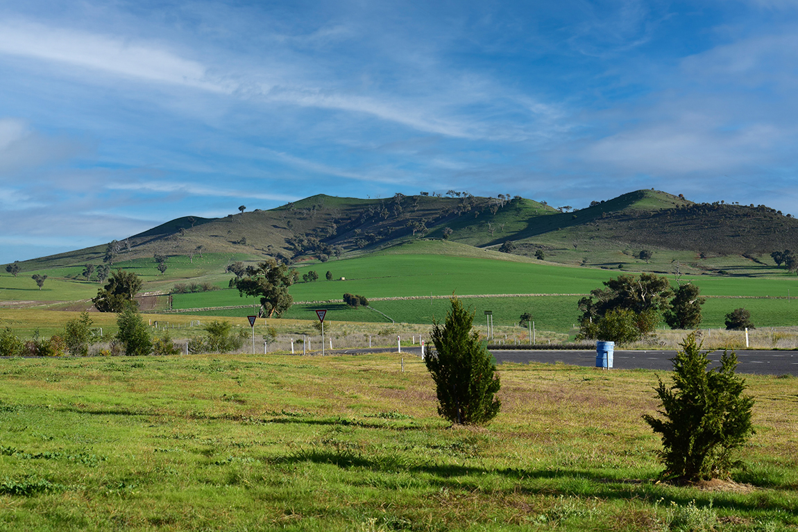 AU V 2212 02 PX field 6533117