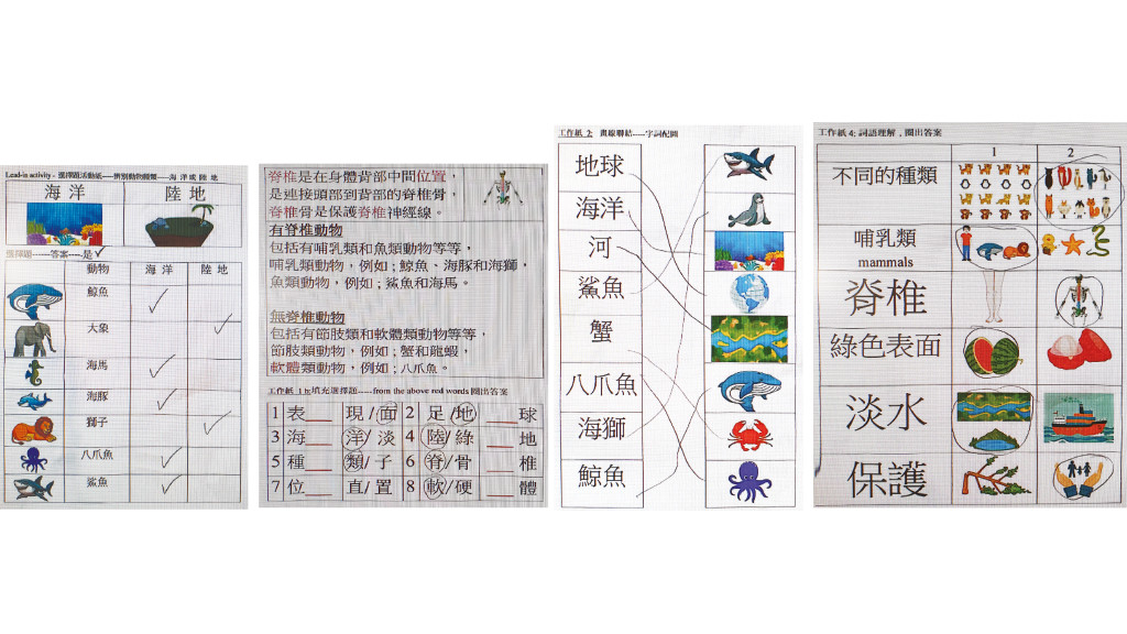 (漢字遊戲室) 地球與海洋動物