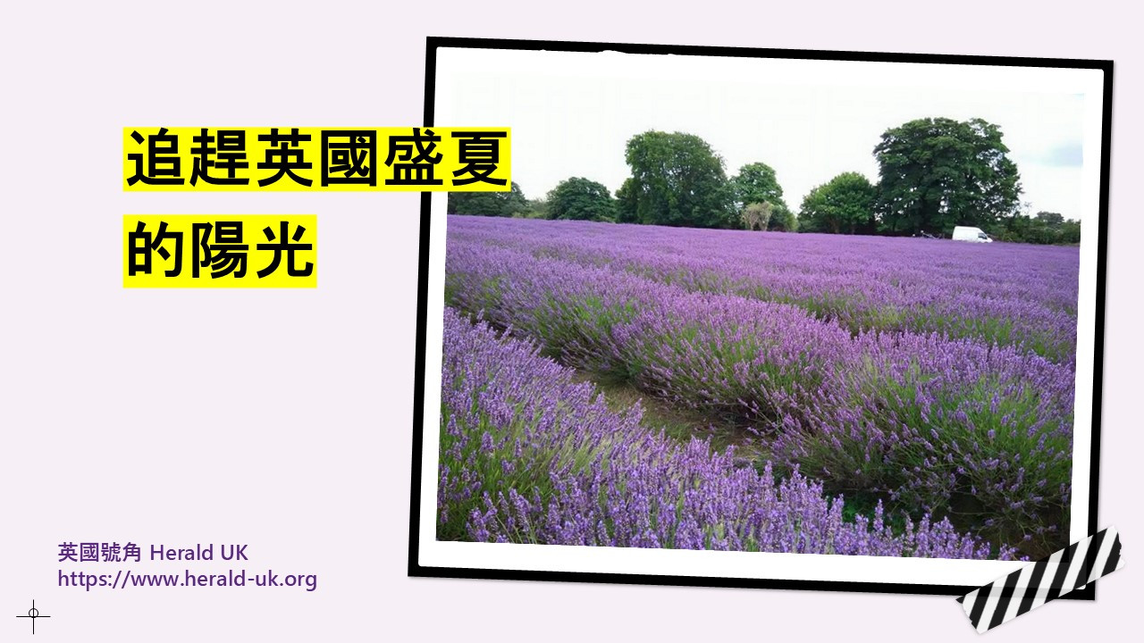 追趕英國盛夏的陽光