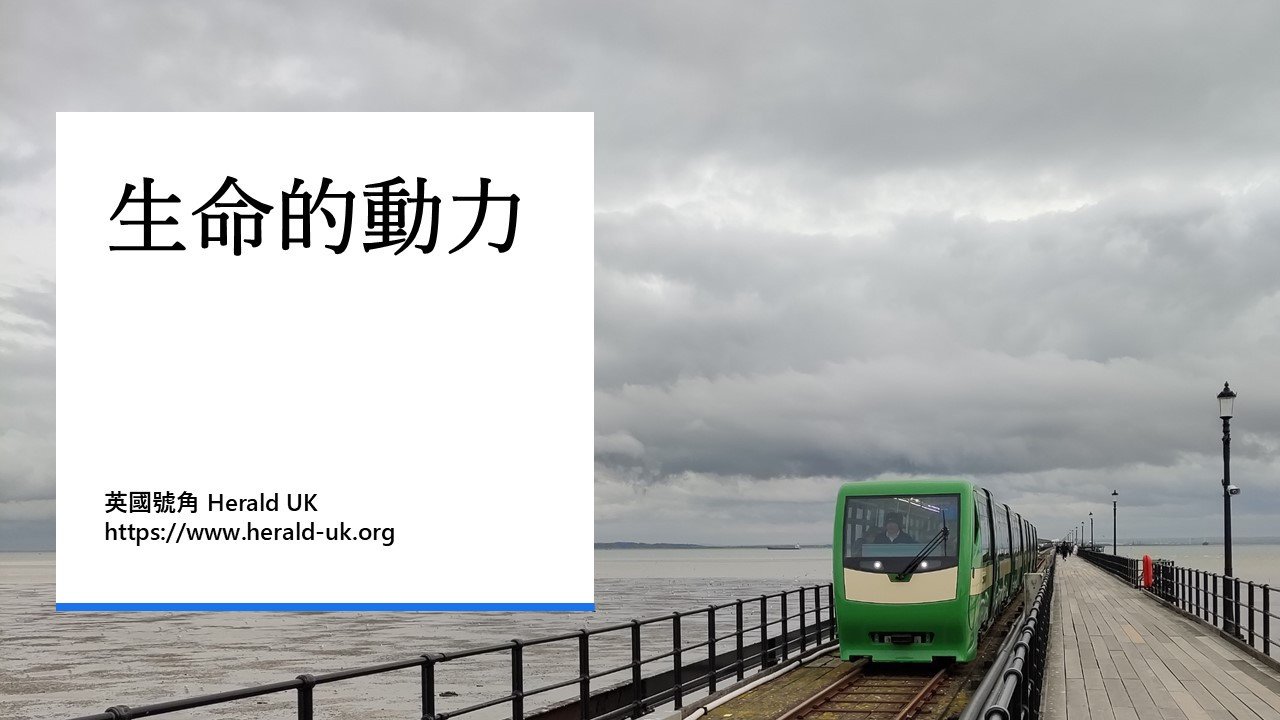 生命的動力