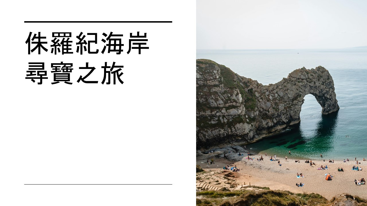 侏羅紀海岸尋寶之旅