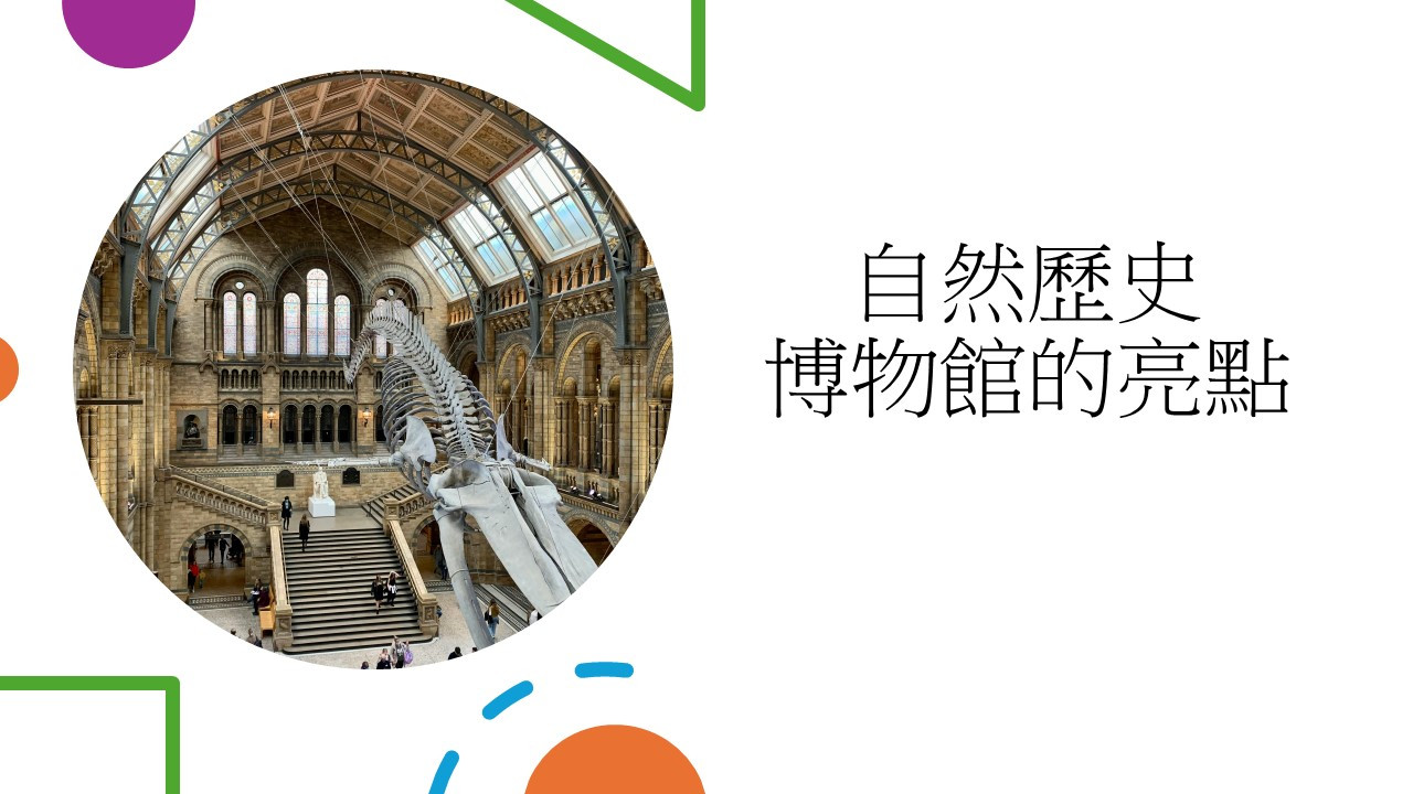 自然歷史博物館的亮點