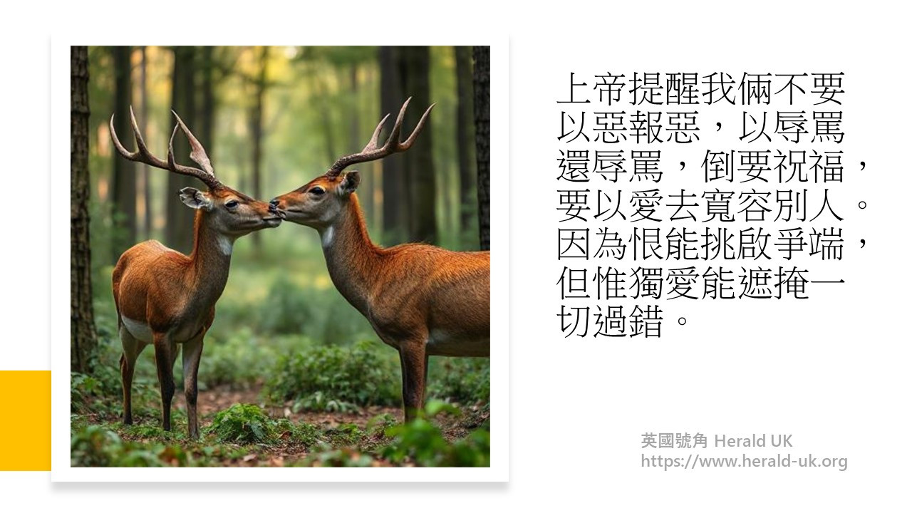 (斯斯細語) 有毒