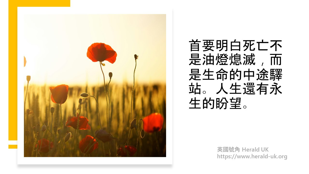 讓晚霞把日光留住