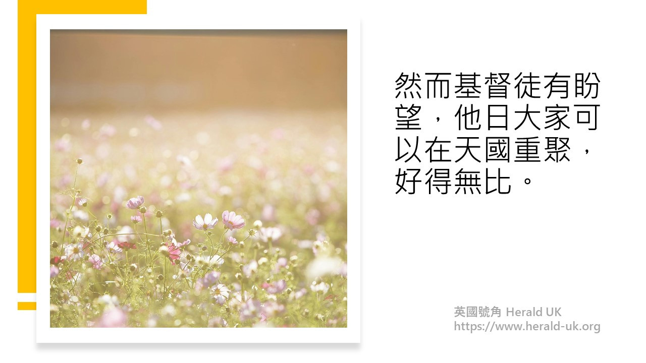 (耆英隨想) 老友又少一個