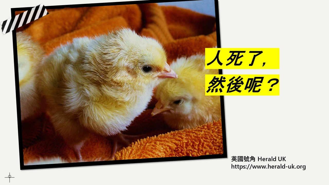 人死了，然後呢？