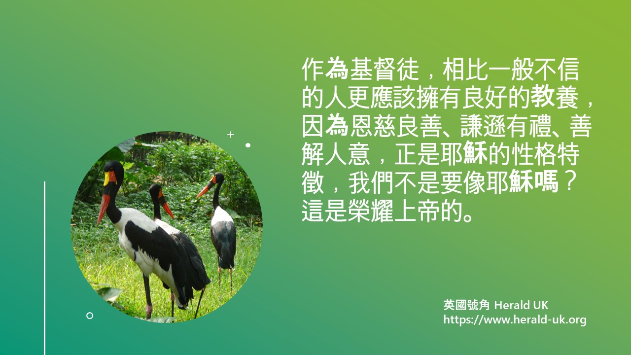 (優雅生活) 如何重拾禮儀？