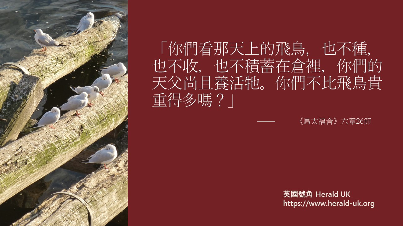 (耆英隨想) 購物的轉變