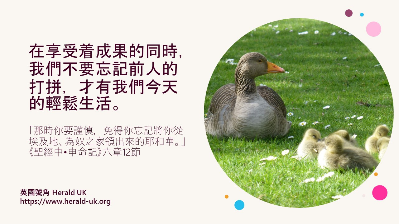 (餐飲佳音) 對上一輩感謝