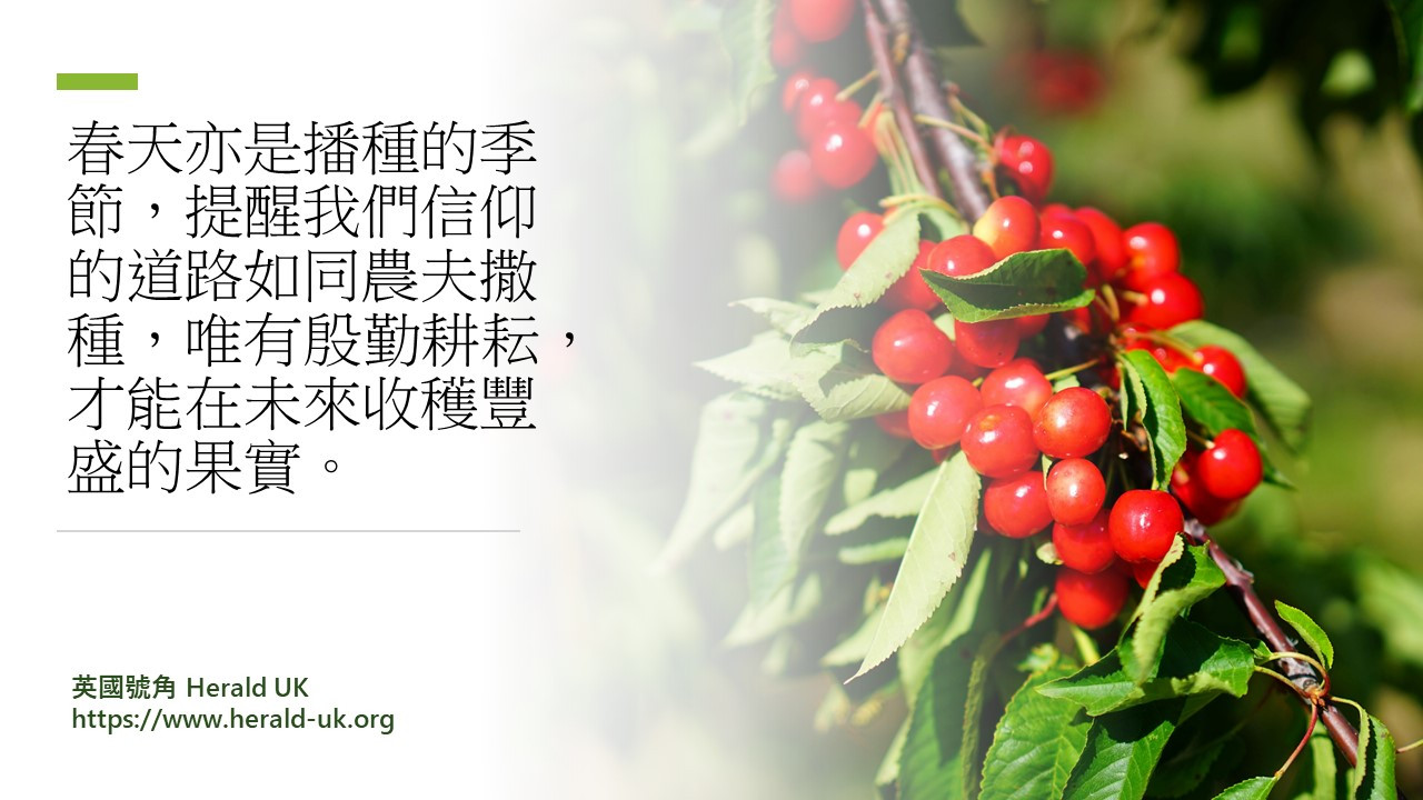 (社論) 春季恩臨 上帝賜福