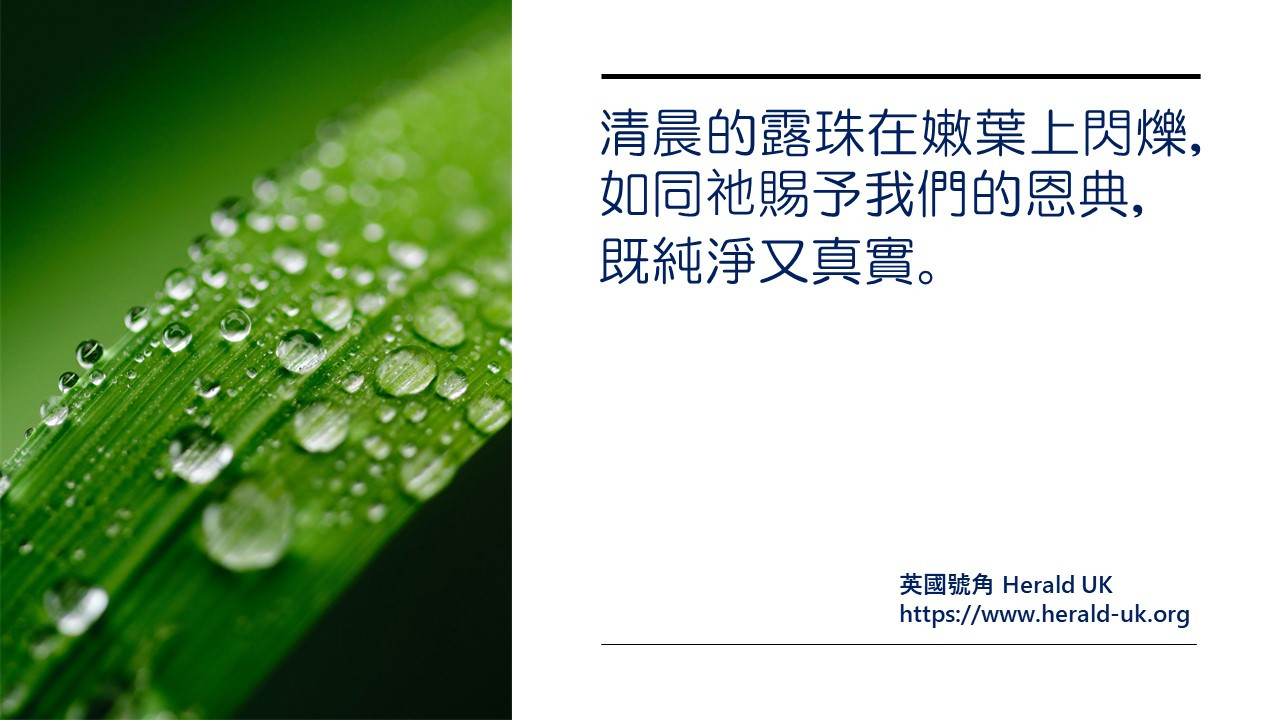 上帝創造之美與新春的盼望