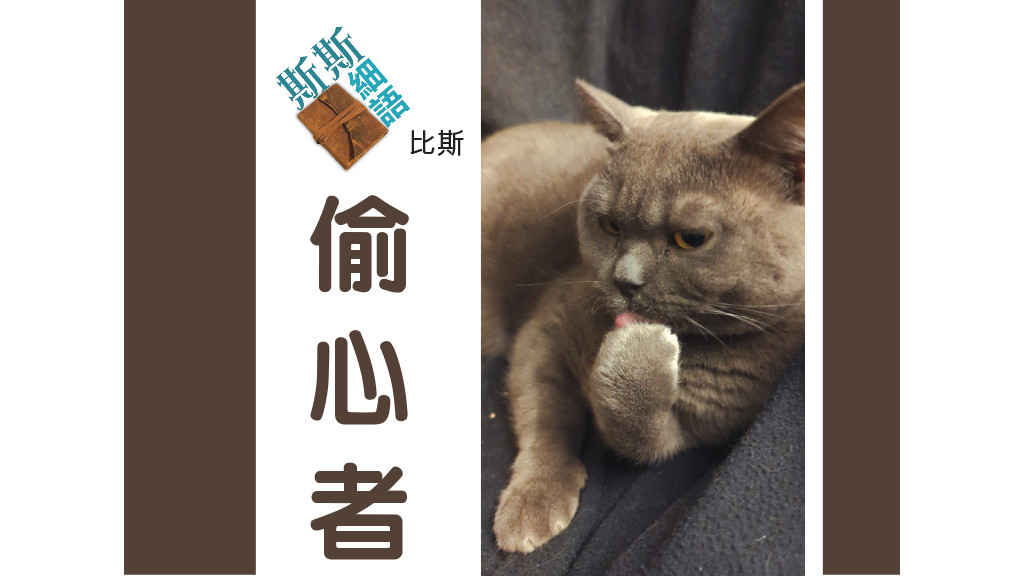 (斯斯細語) 偷心者