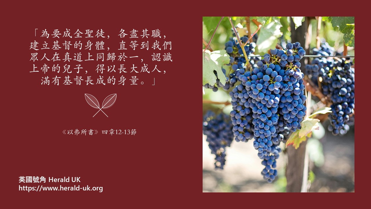 (福杯滿溢) 唔補好易老