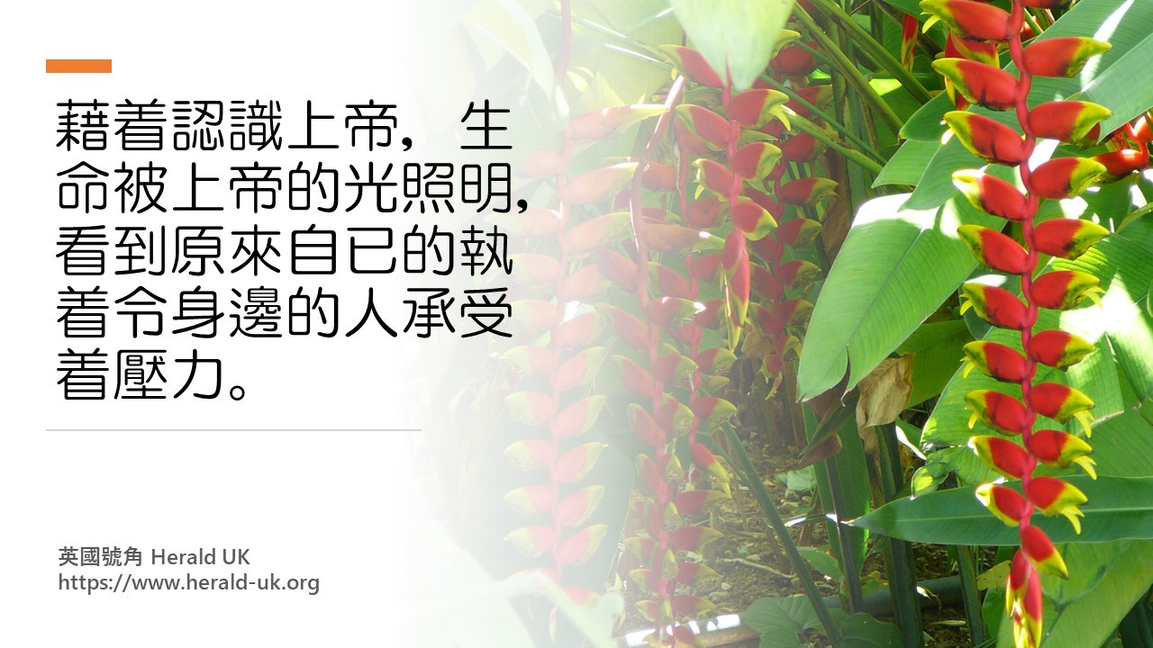 (餐飲佳音) 江山易改，本性能移