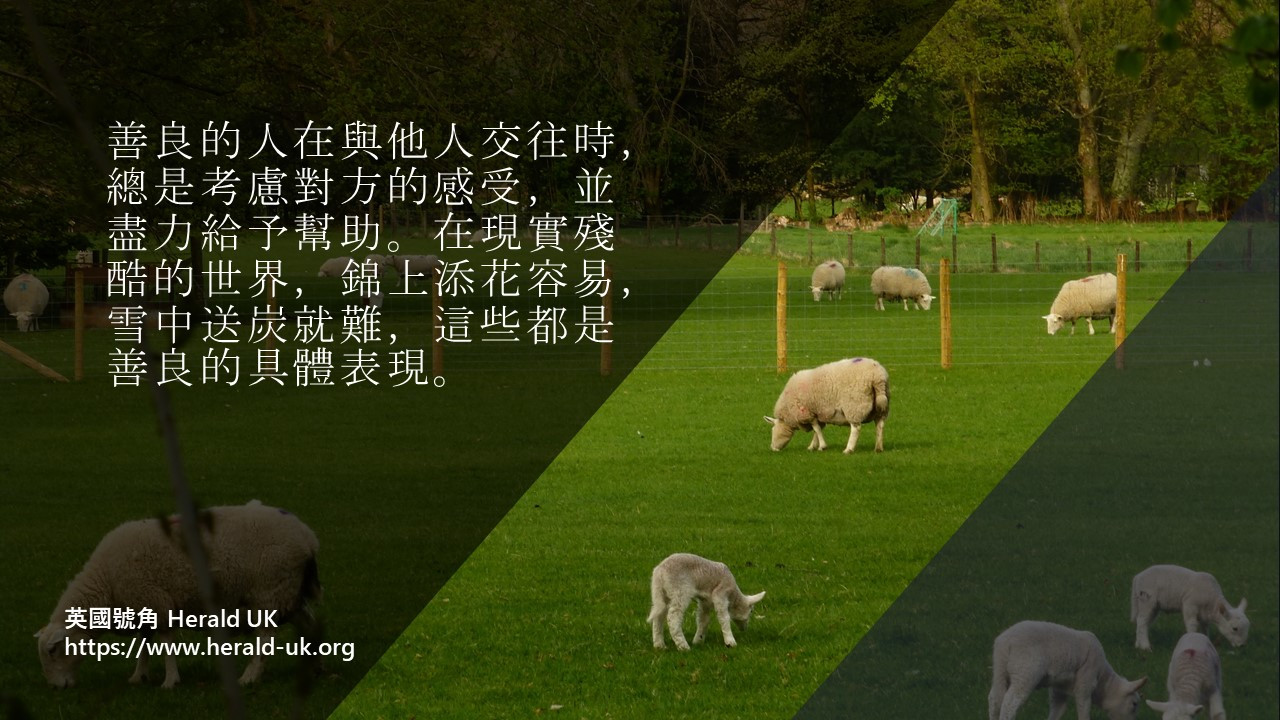 (優雅生活) 良好教養的基礎   