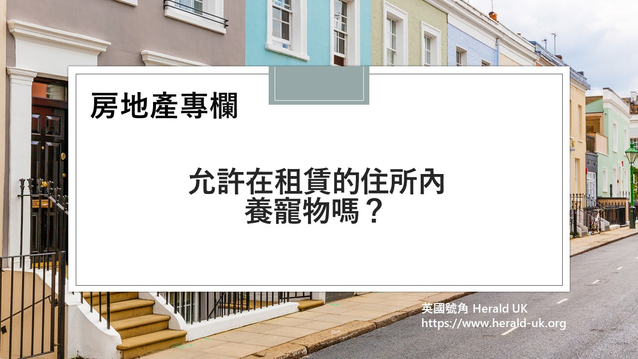 (房地產) 允許在租賃的住所內養寵物嗎？