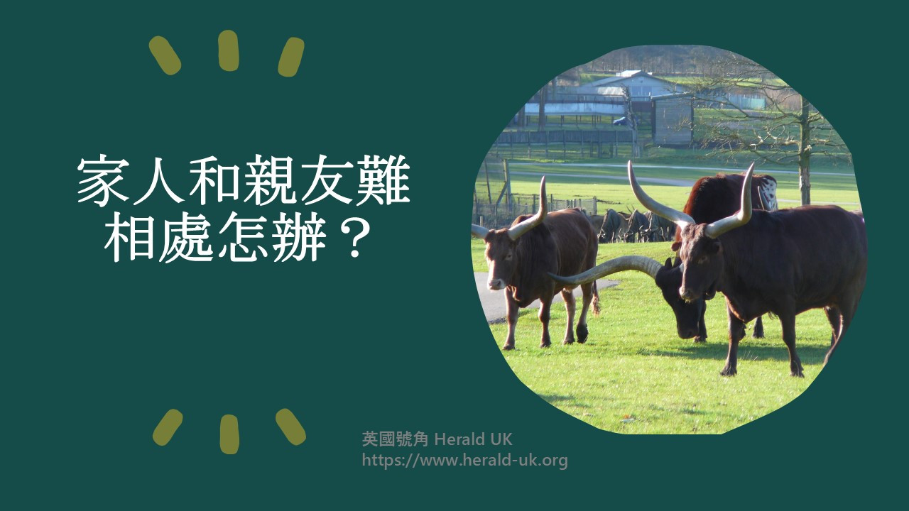 (優雅生活) 家人和親友難相處怎辦？  