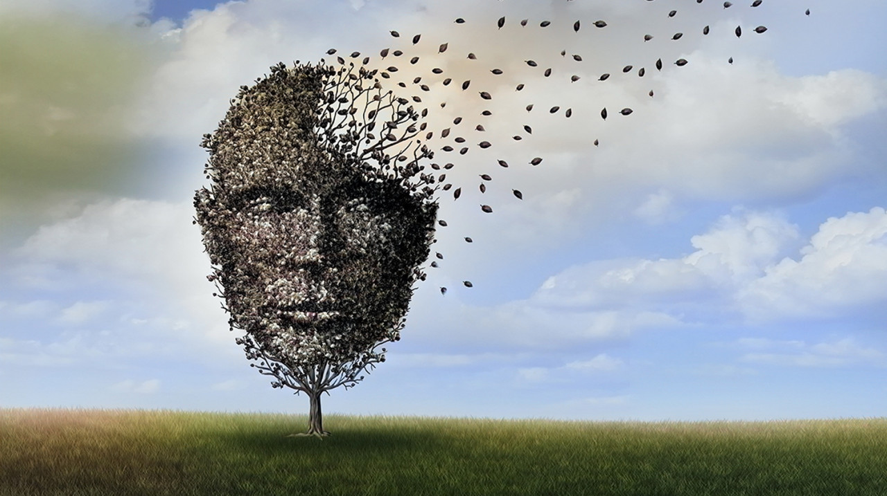 AU-2510-Pg17A-brain-001