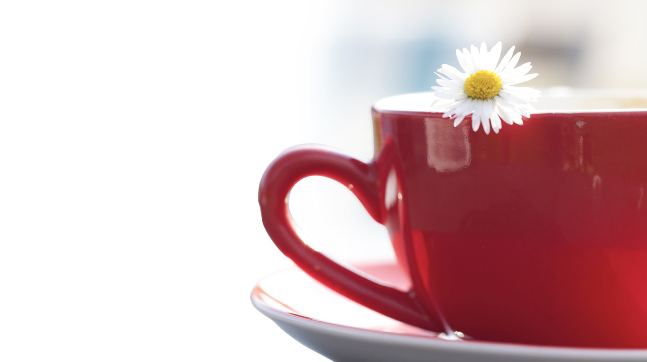 PX-elsnercladu-cup-2967799